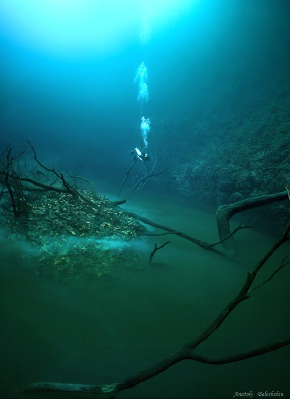 프로 사진 작가이자 다이버인 Anatoly Beloshchin이 촬영한 이 사진은 멕시코에 있는 물에 잠긴 석회암 동굴 탐험중 촬영한 것이라고 합니다. 물속에 보이는 저 강은 수소황화물이 침전되어 만들어진 것이라고 하네요.