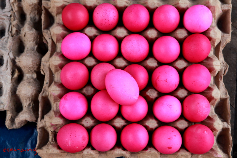 핑크 빛 계란들...