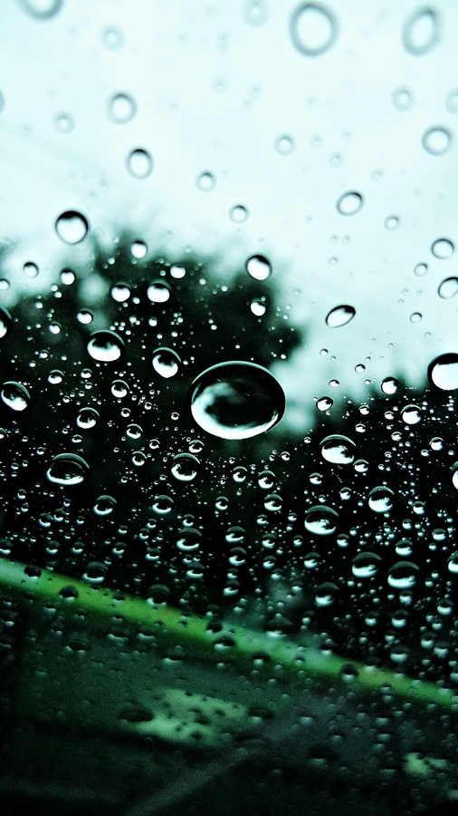 오늘은 이른 아침부터 비가 많이 오네요...이제 좀 그쳤네요. 차안에서 동글동글 맺힌 빗방울이 예뻐서...^^ 
