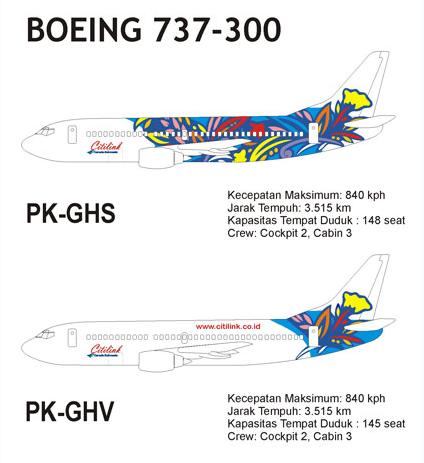 boeing733armada_11_copy.jpg