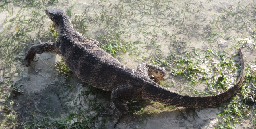 25~26MAY, PULAU KOTOK 030수정.jpg