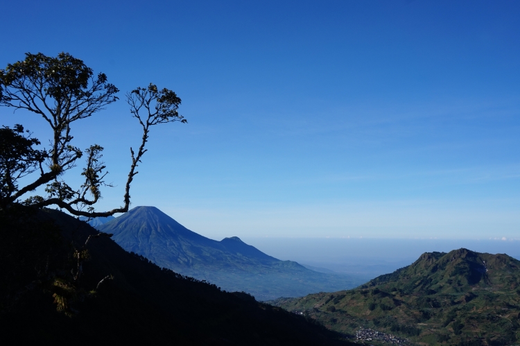 Gunung Prau_Dieng 224(A).jpg