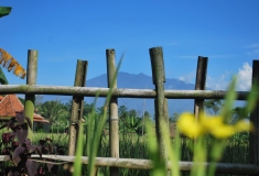 Gunung Salak 에서 라면