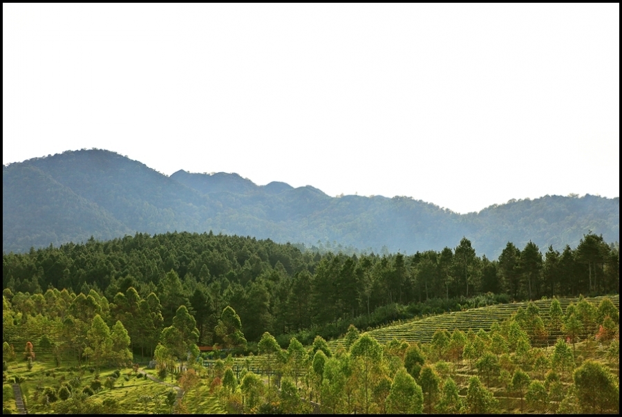 산 넘어 산..